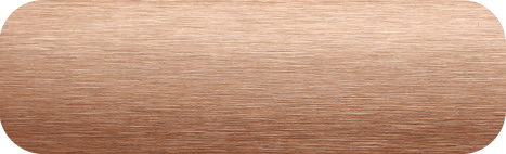 TwinLine Brusch braun Lamelle